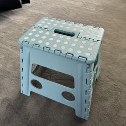 Light Blue Step Stool