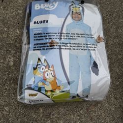 Bluey Family Costumes