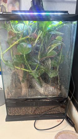 18 gallon tank