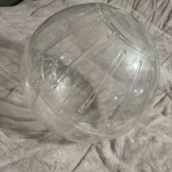 Giant Hamster Ball