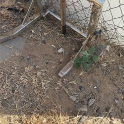 Free Dirt Bike Stand
