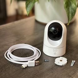 Eufy Indoor Cam (Human/Pet AI)