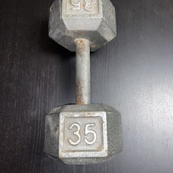 35 Lbs Dumbbell 