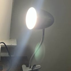 Desk Lamp For Sale