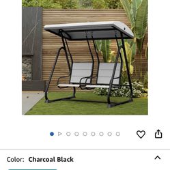 EAST OAK 2-Person Outdoor Patio Swing Chair