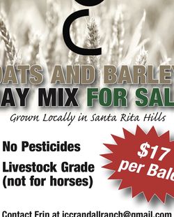 Hay For Sale Locally Grown No Pesticides Free Delivery