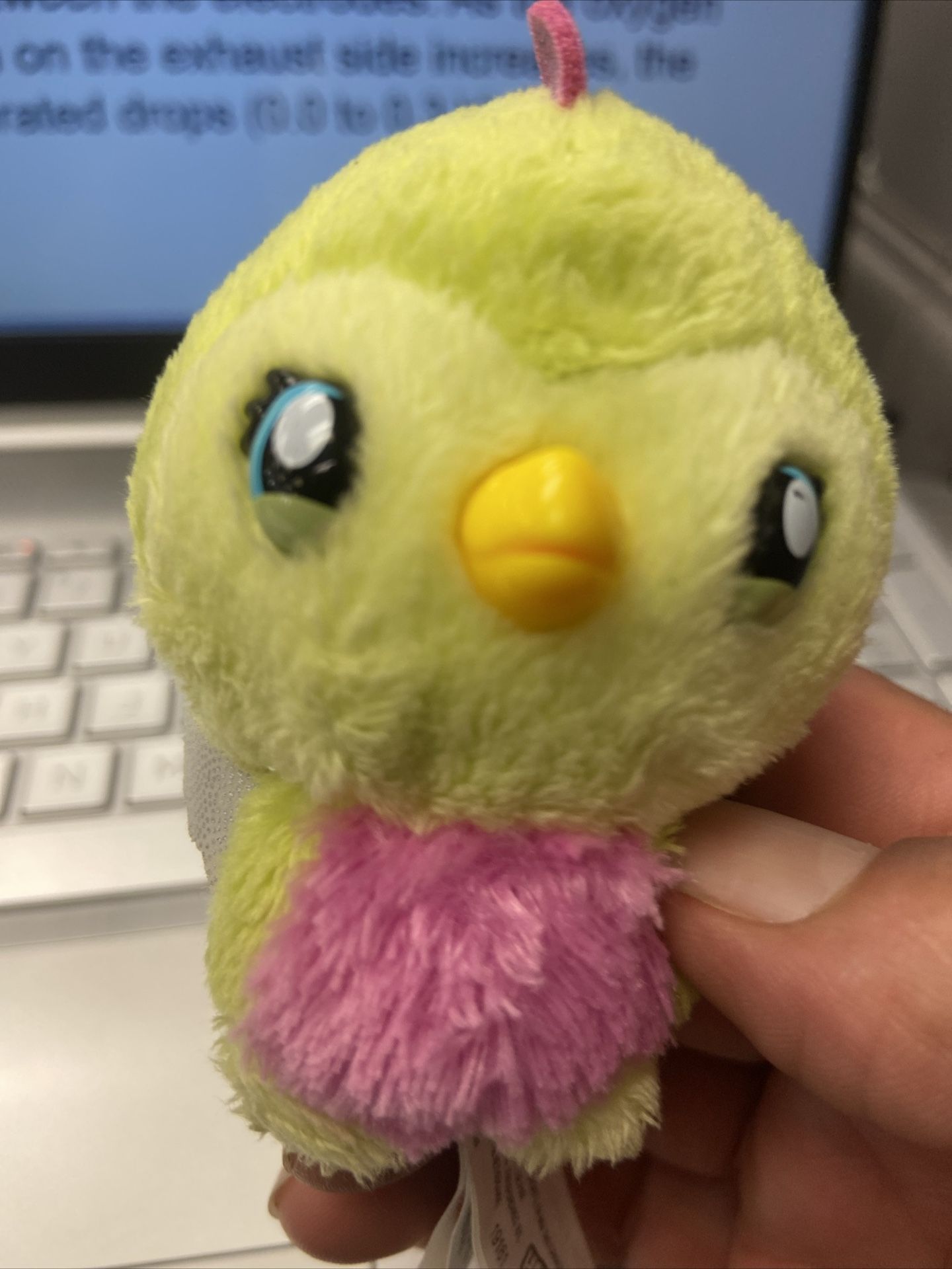 Spin Master Hatchimals Hatchtopia Life Plush Lot Narwarbler & Draggle Mini 3"