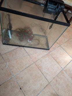 40 Gallon Fish Tank 