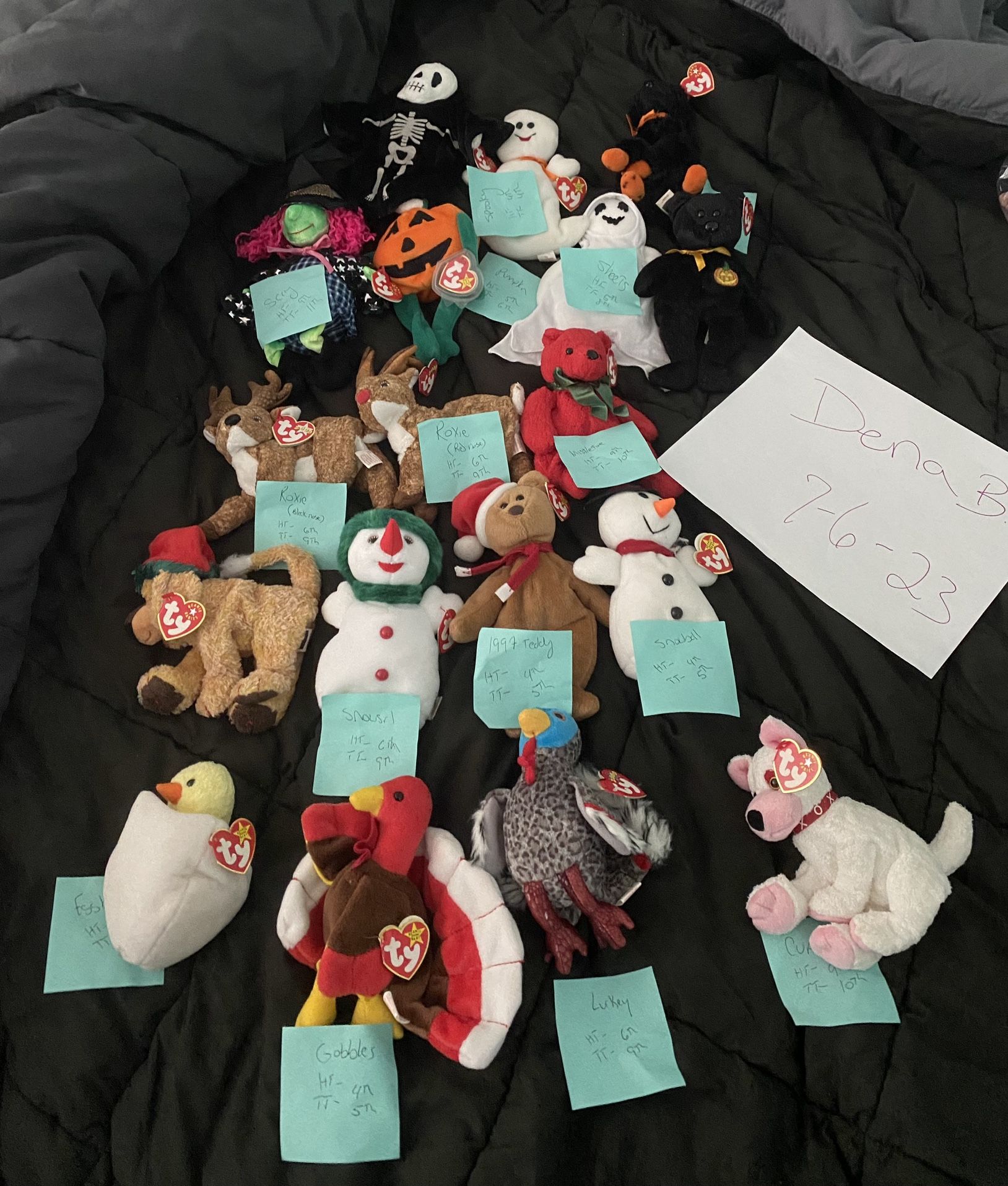 Beanie Babies Holiday Collection