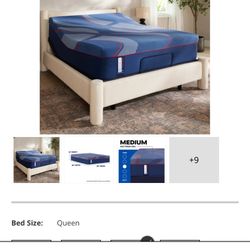 Sealy Hybrid Medium 14  “ Queen Size Brand New