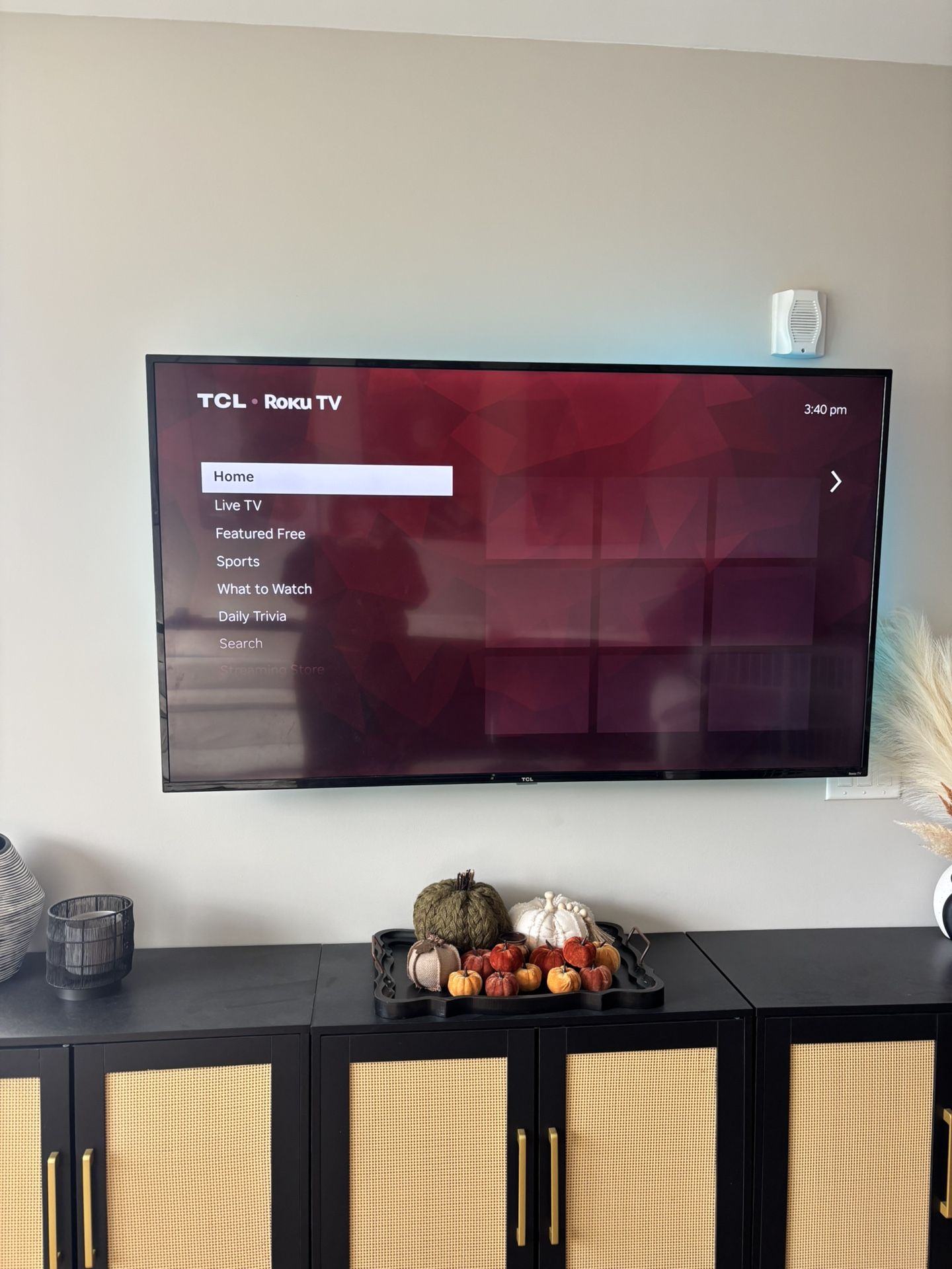 65 Inch TCL Roku TV with rotating Mount