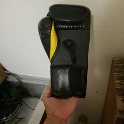 Everlast Elitewith Evershield XL Left Glove