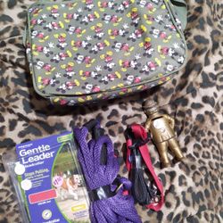 Minnie or micky mouse bag with free dog leashes (3) and  (1) old tyme steel Fatman bank 