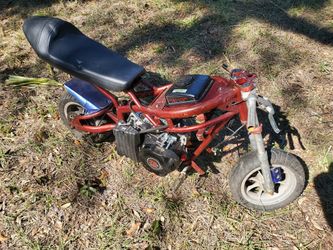 Mini Bike New Engine