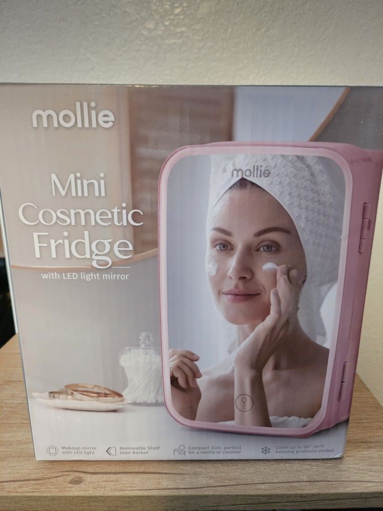 Mini Fridge