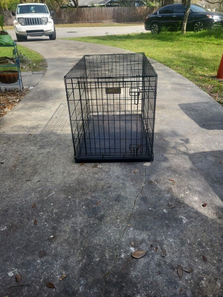 Dog Kennel