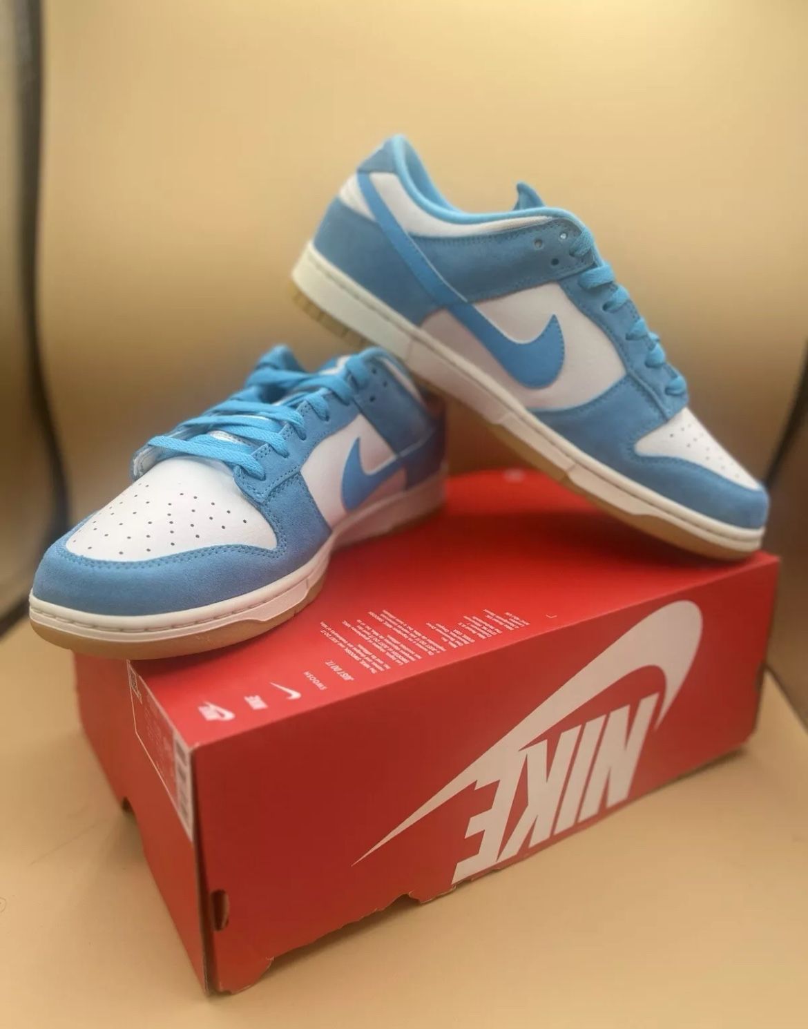 Size 11 - Nike Dunk SE Low Baltic Blue Gum