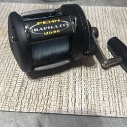 Penn Formula Fishing Reel 