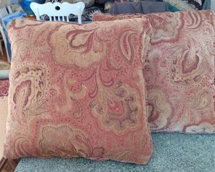Very Nice Pair Of Accent Pillows (Never Used)