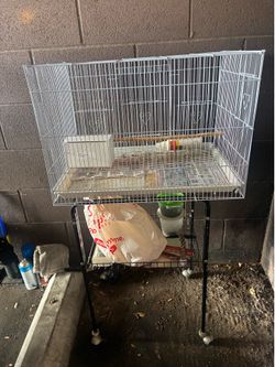 Bird cage with extras