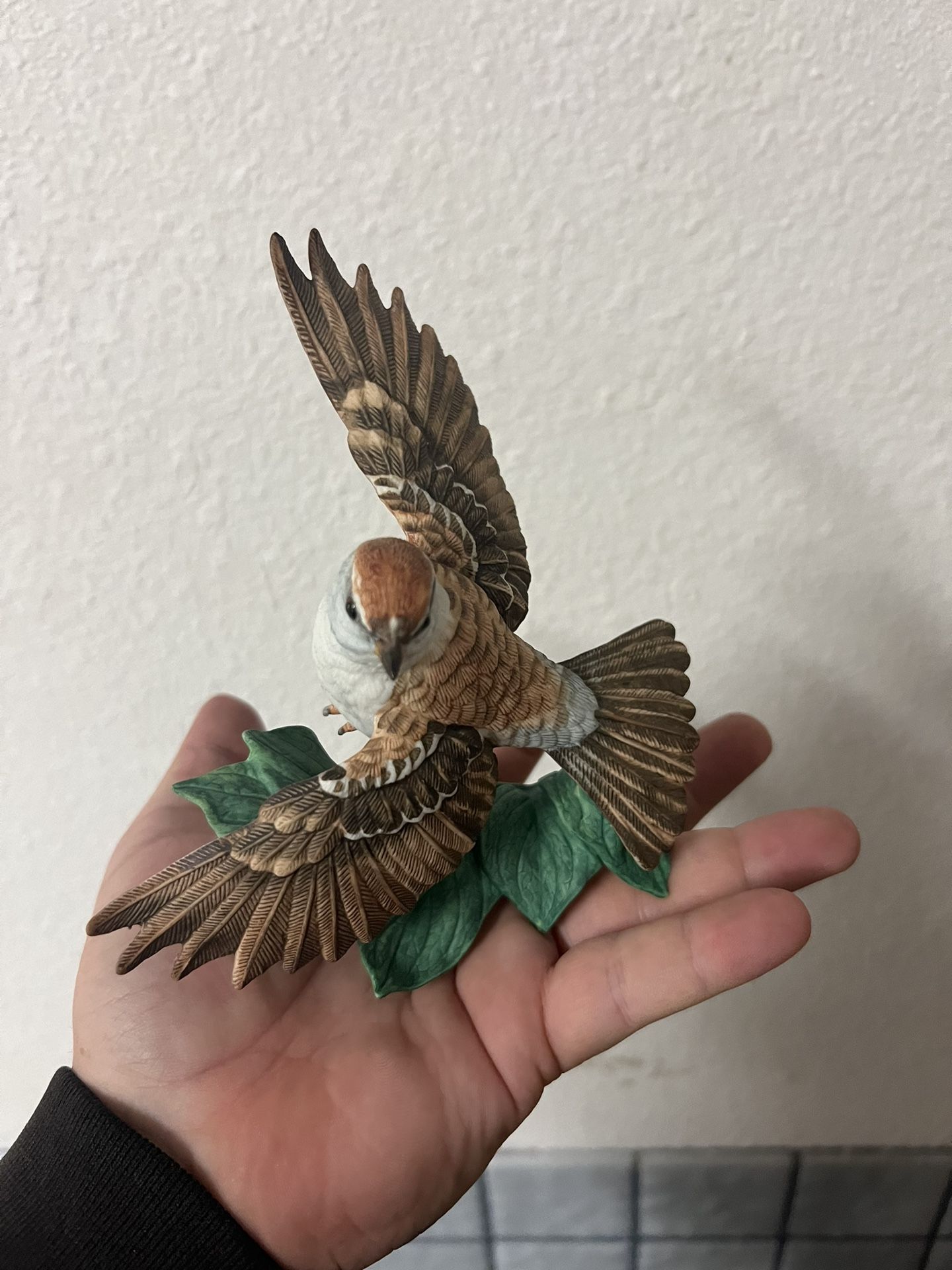 Lennox Chipping Sparrow