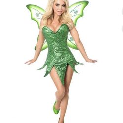 Adult Tinkerbell Costume