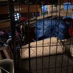 Large Dog Cage