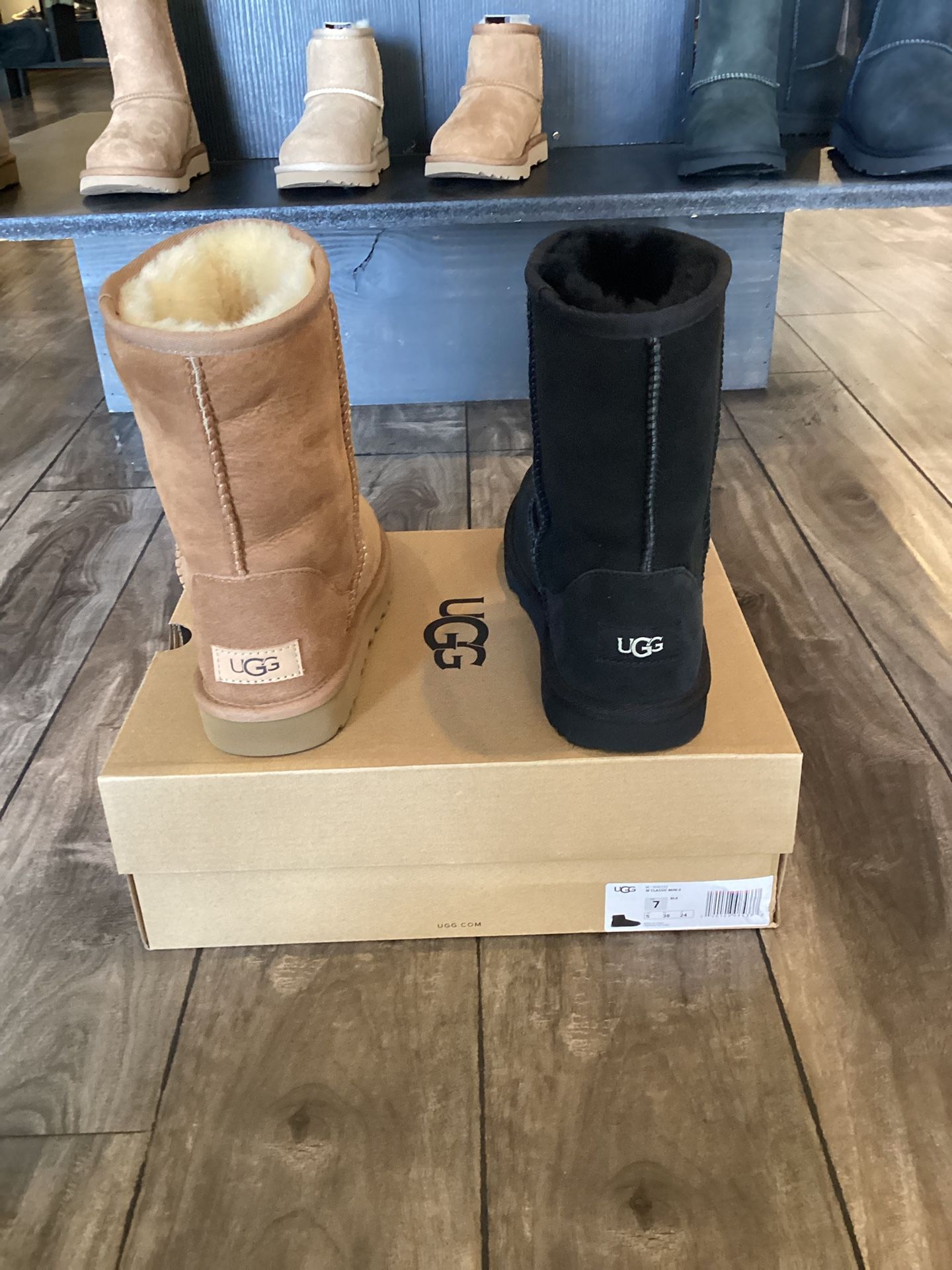 Uggs Women Classic Shorts
