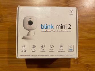 Blink mini 2