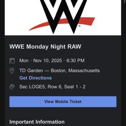 Wwe Boston November 10