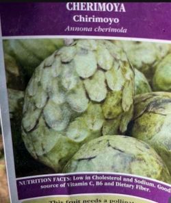 Aboles de chirimoya