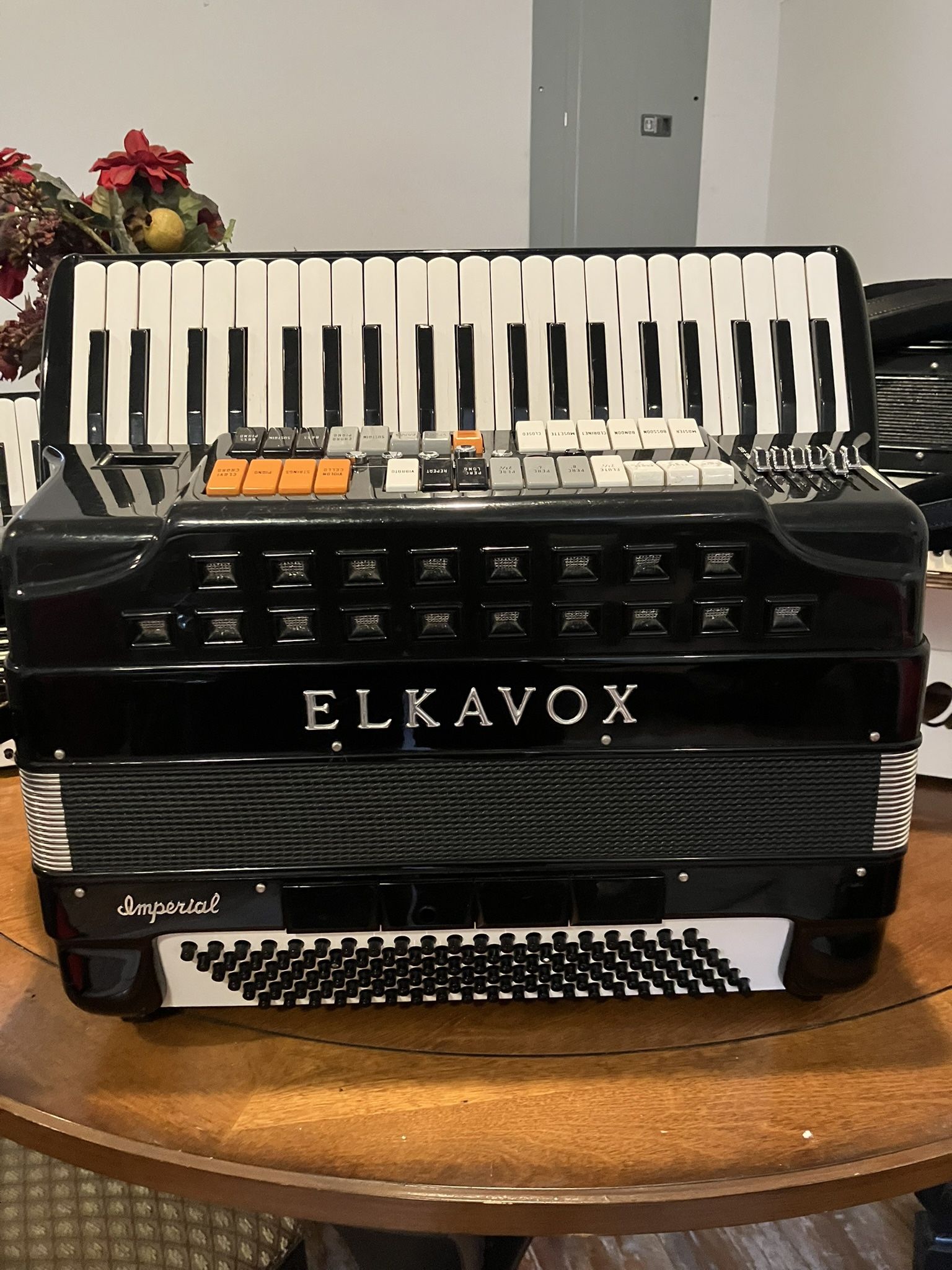 Elkavox Accordion