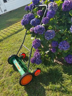 SCOTT 20” push lawn mower