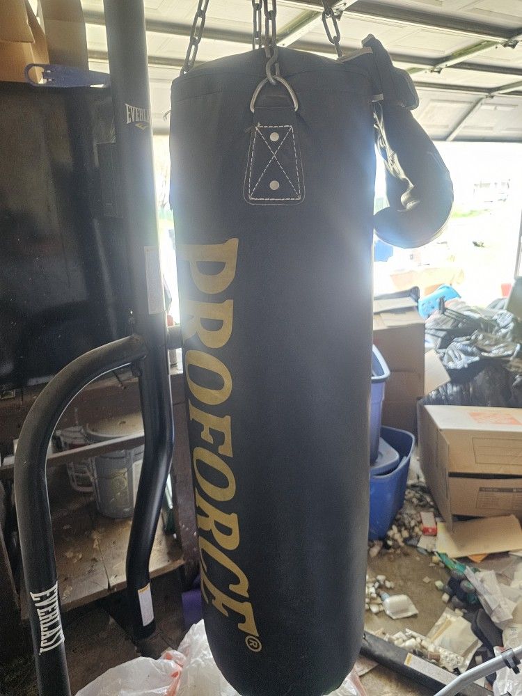 Punching Bag