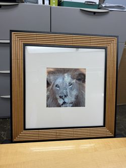 Custom Framed Pictures Africa Safari
