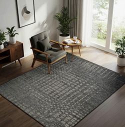 Avante Chenille Area Rug 5’ x 7’ (Caseus)