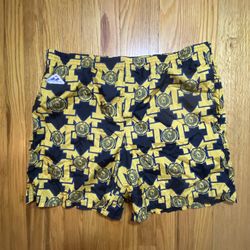 Vintage APEX ONE University Of Michigan Basketball Wolverines Shorts Size XL