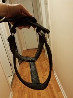 Heavy Duty Dog Harness