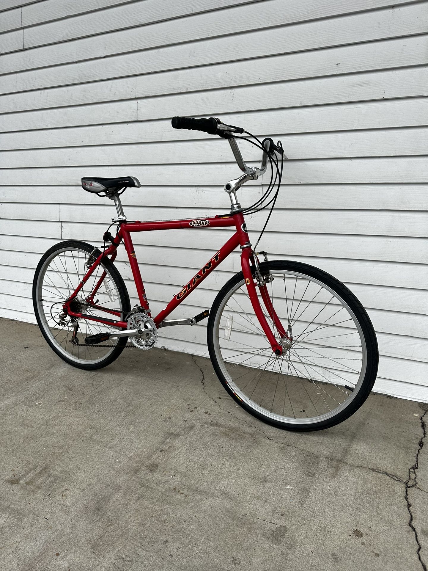 Giant Hybrid Bike