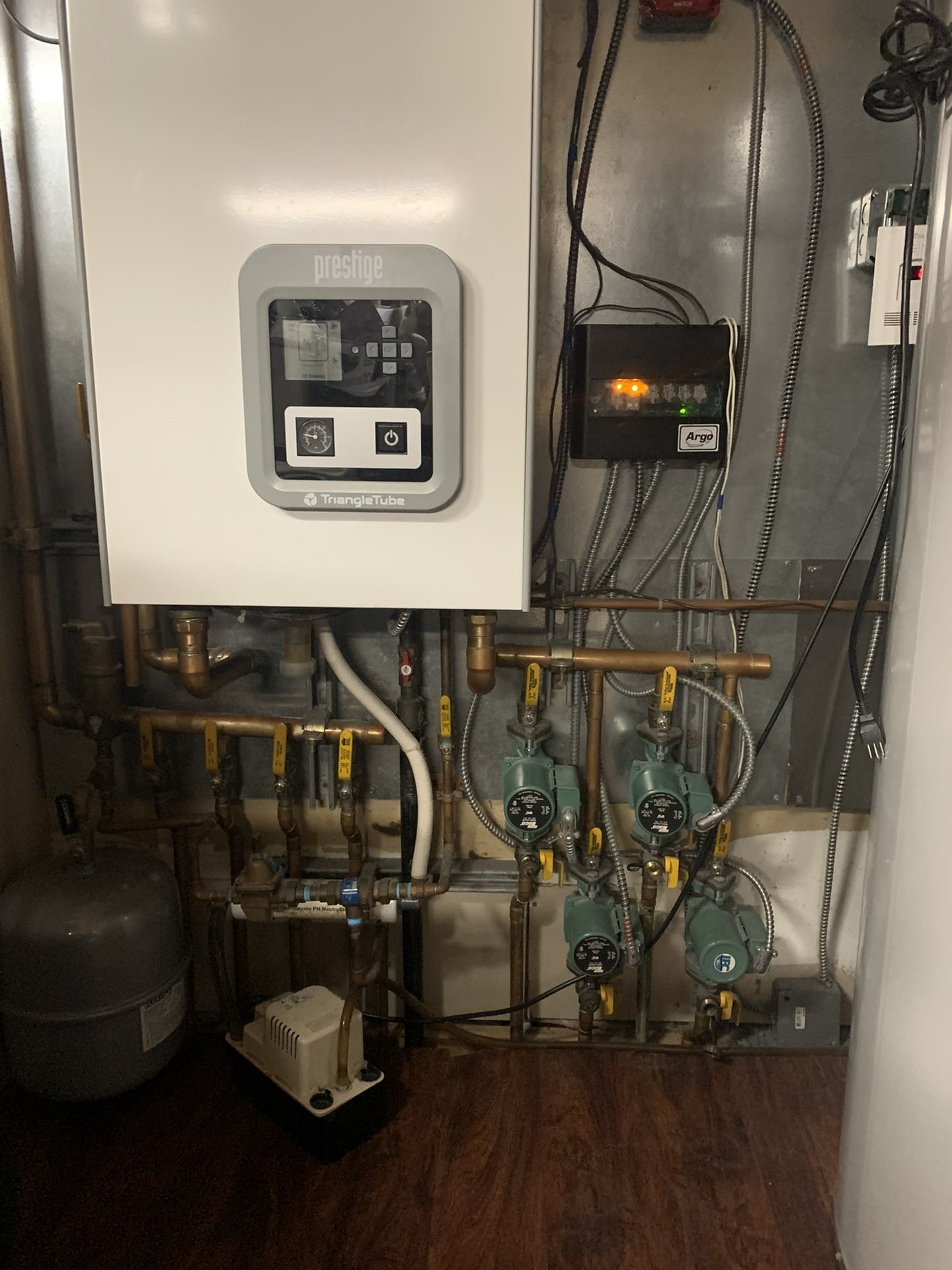 HEATER! Triangle Tube Pt125 Hang Up Boiler