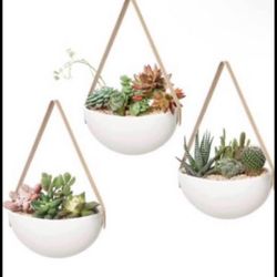 Brandnew Ceramic Hanging Planter Wall Planter Set of 3 Modern Flower Plant Pots