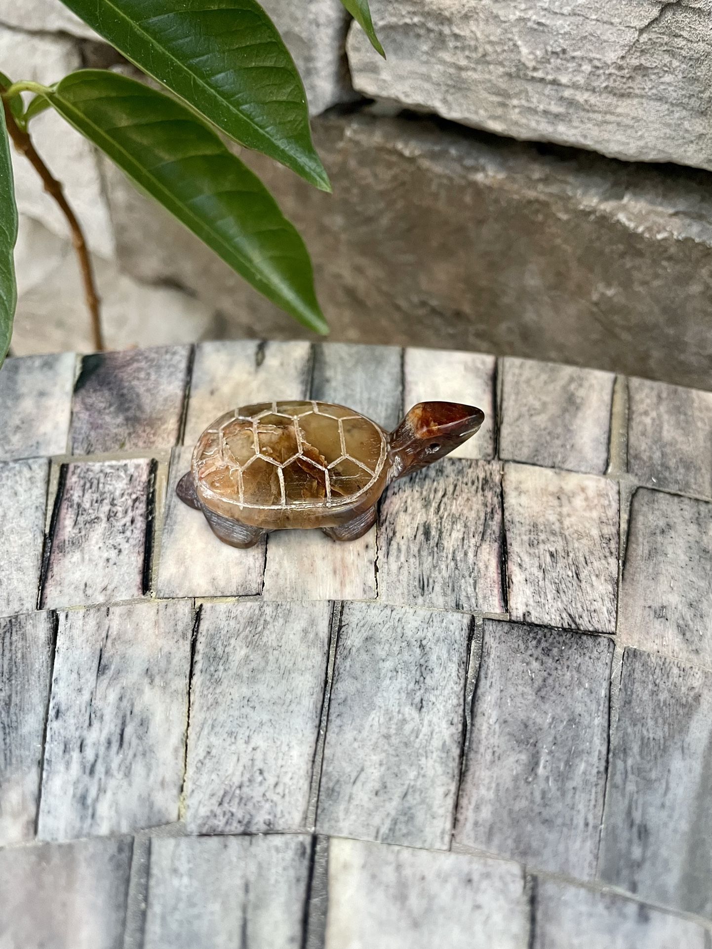 Natural Stone Turtle