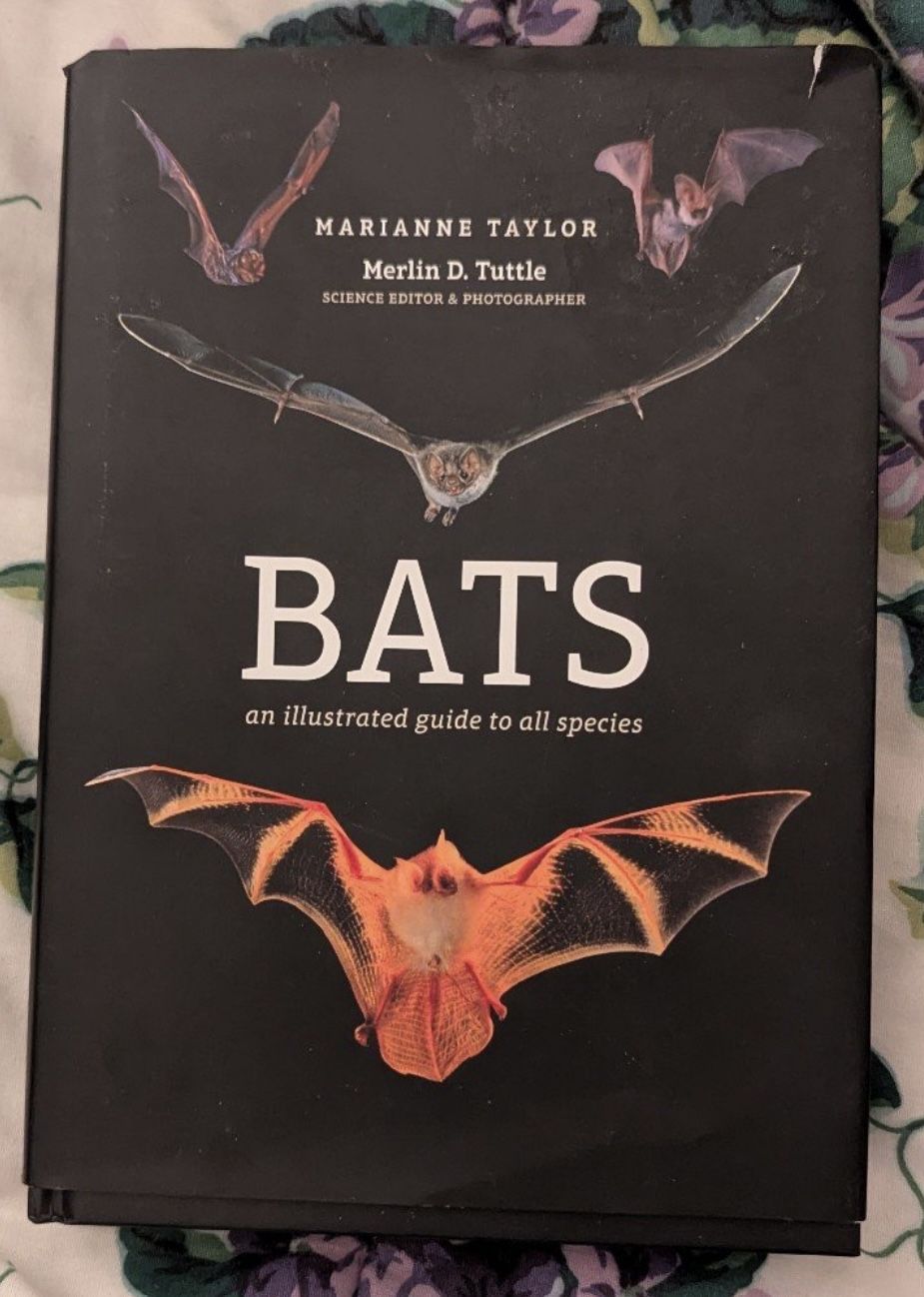 Book On bats
