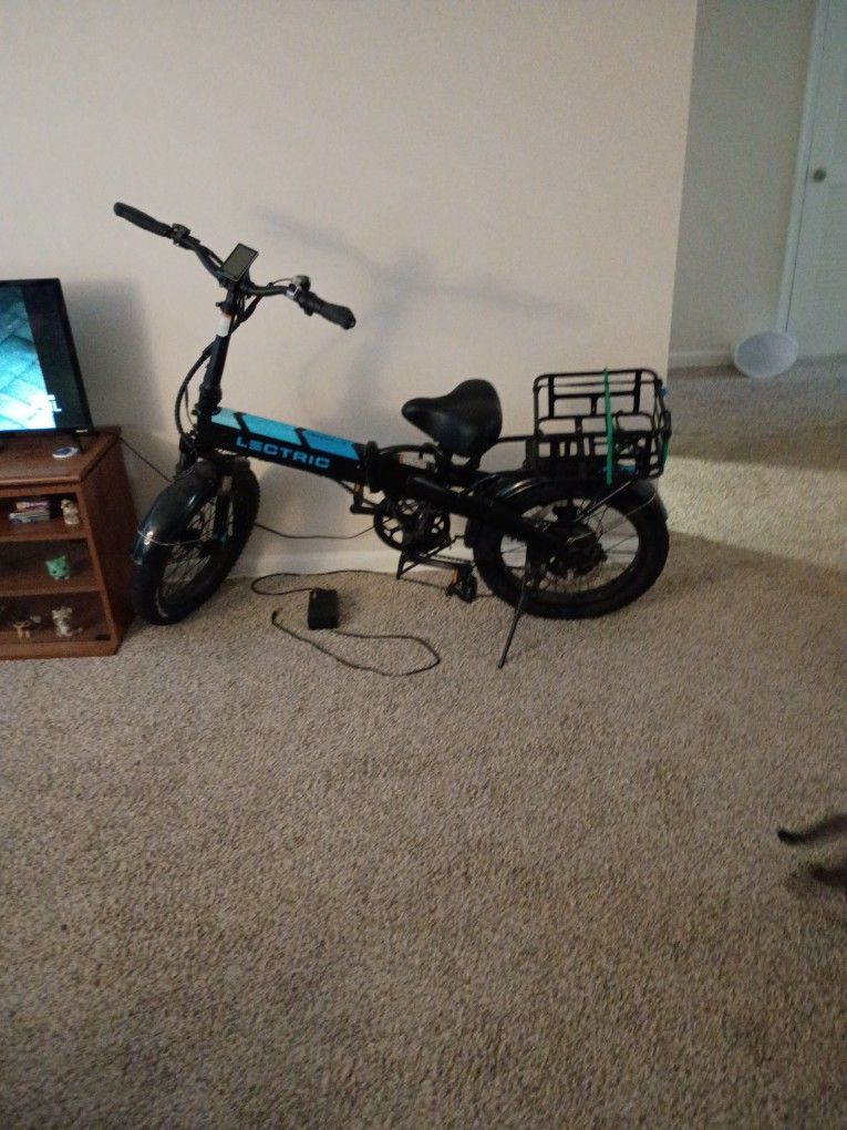 Electric Electric Bike