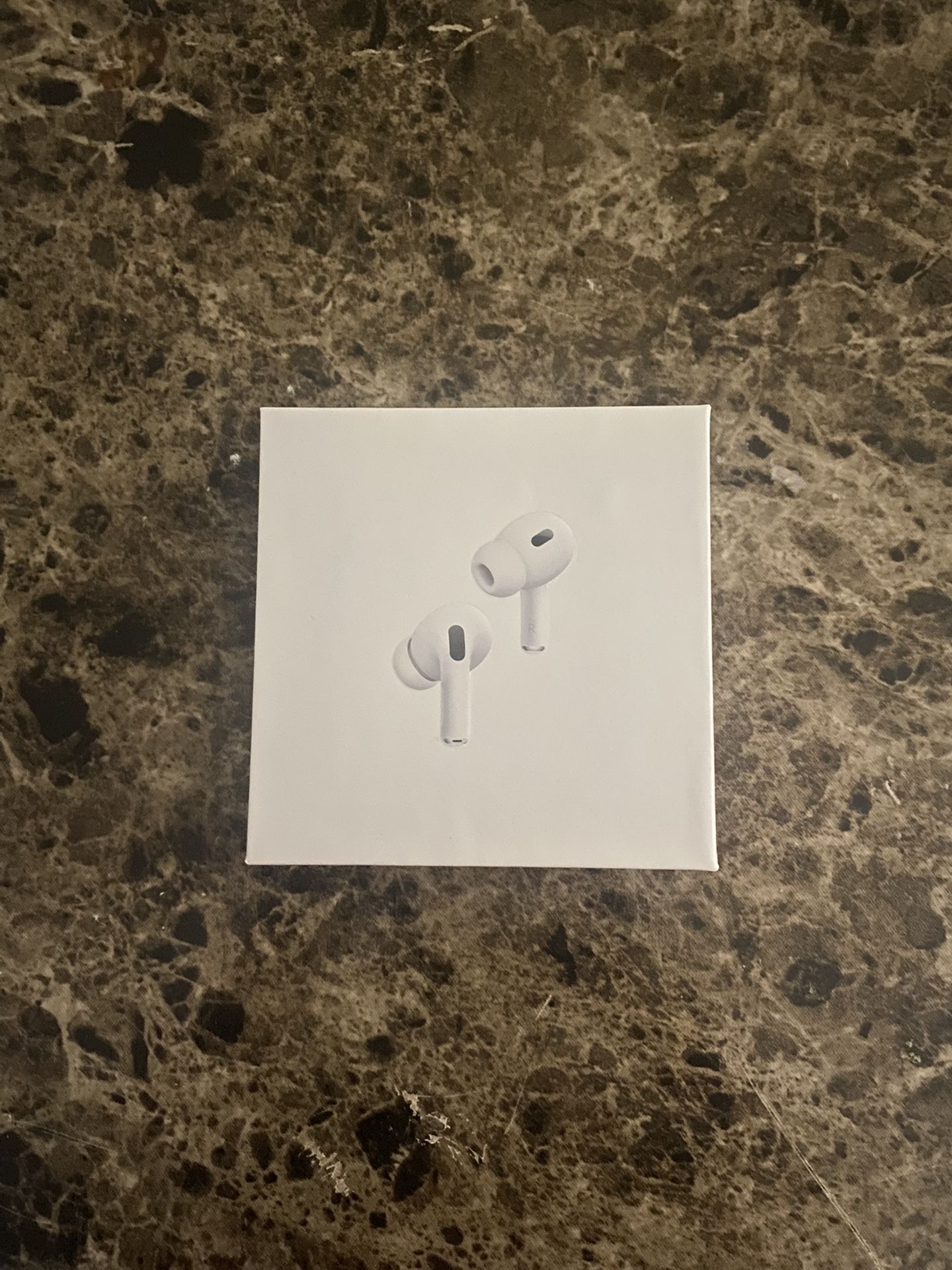 Airpod Pro (1st Generation)