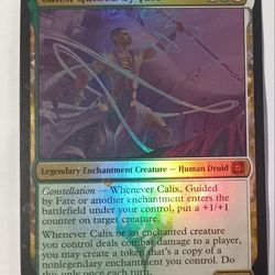 Calix, Guided By Fate