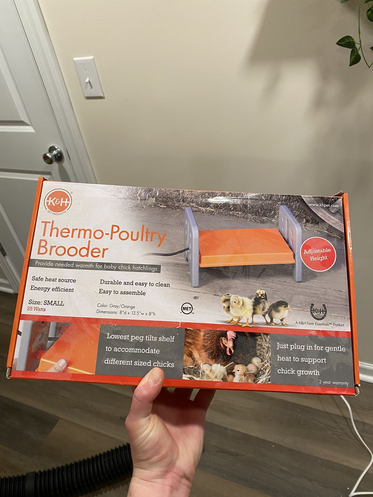 Poultry Brooder Plate