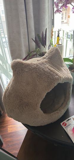 Cat bed + toys