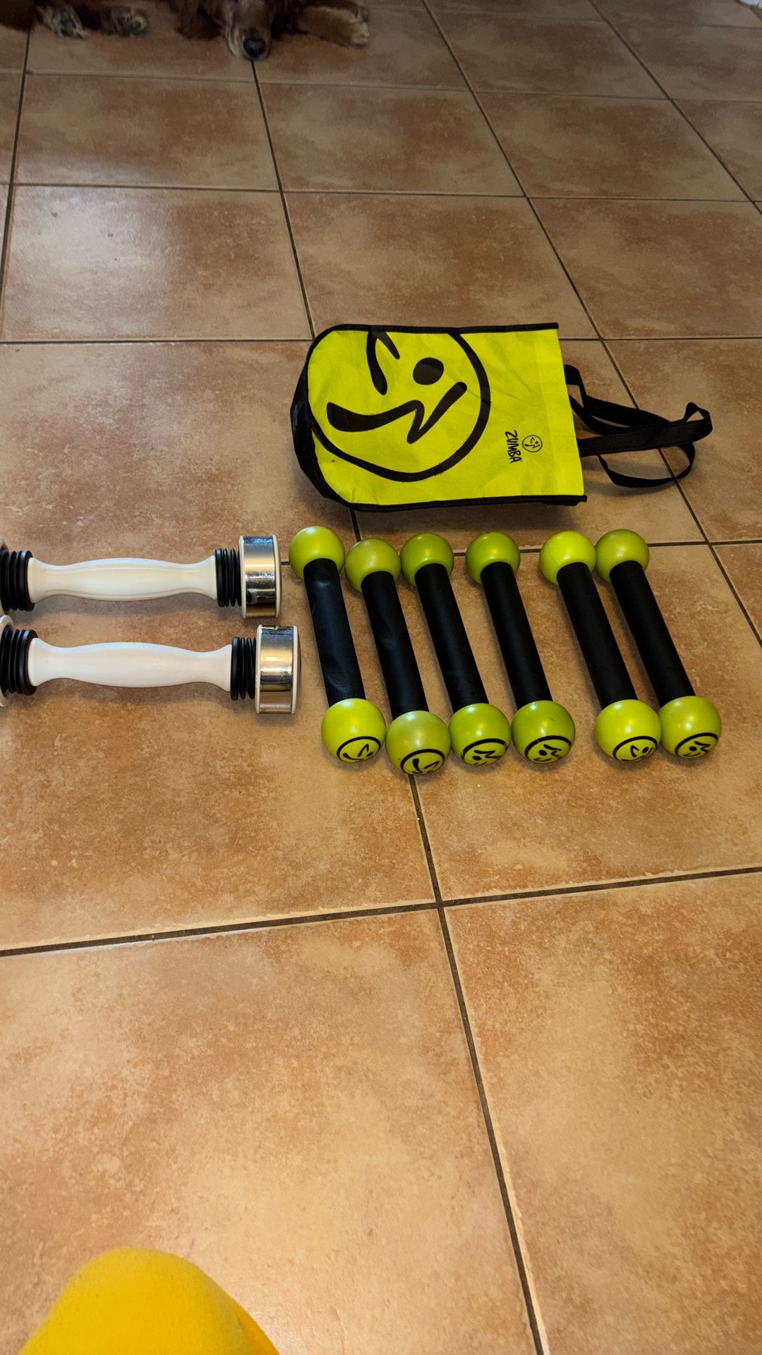 Zumba Bundle Of Toning Weights For A Total Of 8 Weights