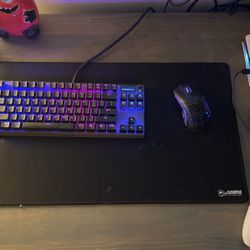 steeelseries keyboard and glorious gaming mouse